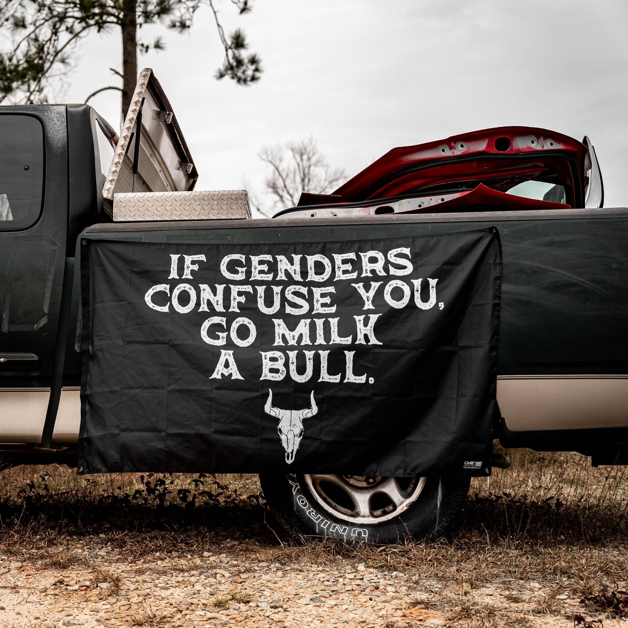 If Genders Confuse You, Go Milk A Bull 3'x5' Flag
